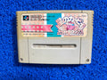 SFC Kirby super deluxe (J)