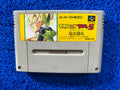 SFC Dragon ball z (J)