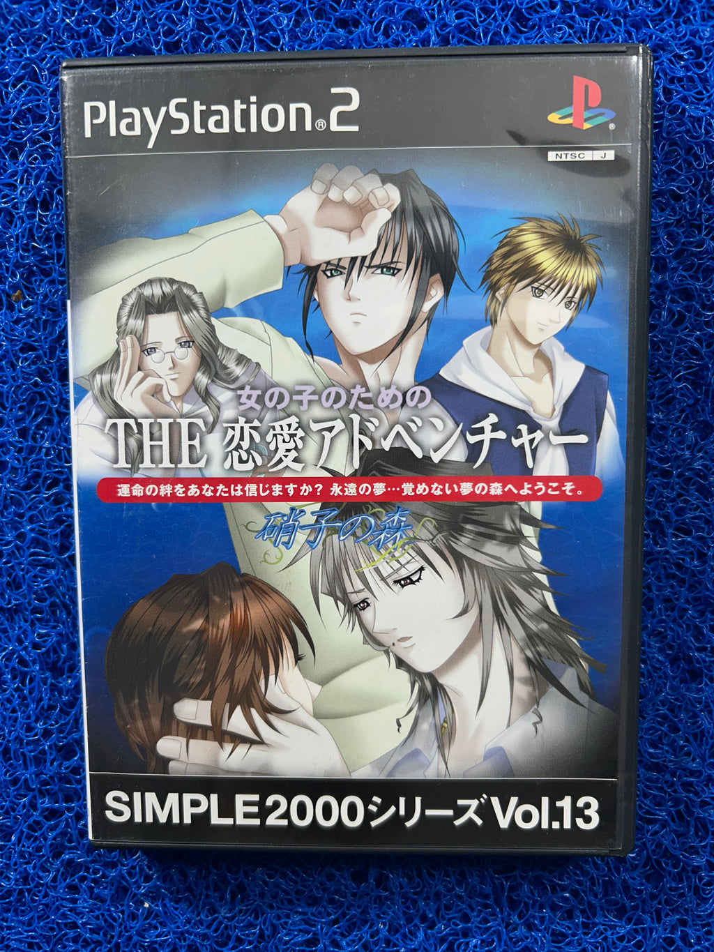 PS2 The simple 2000 vol. 13 (J)