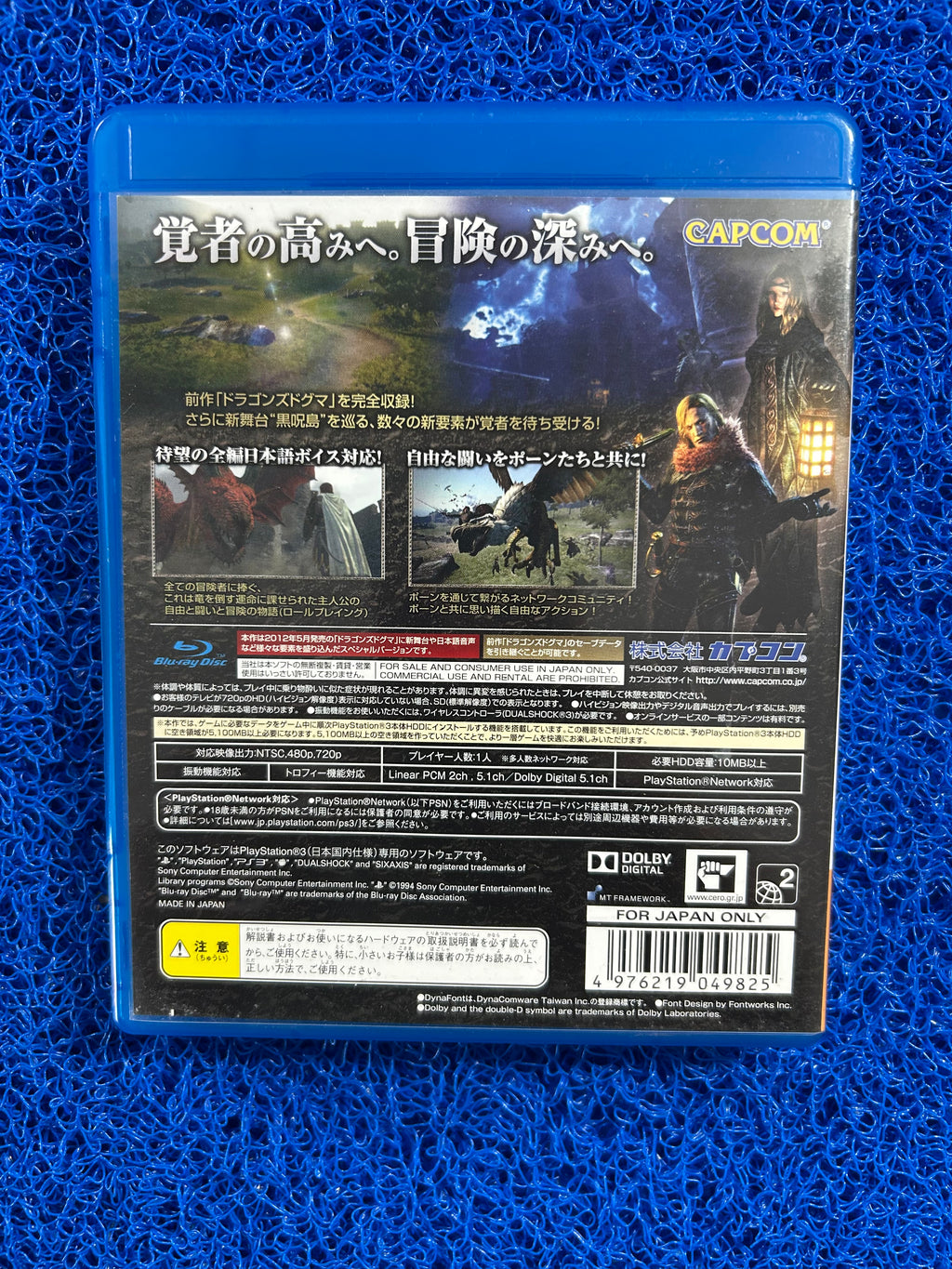 PS3 Dragons dogma dark ariser