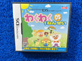 NDS Waku waku (J)