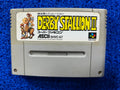 SFC Derby stallion II (J)