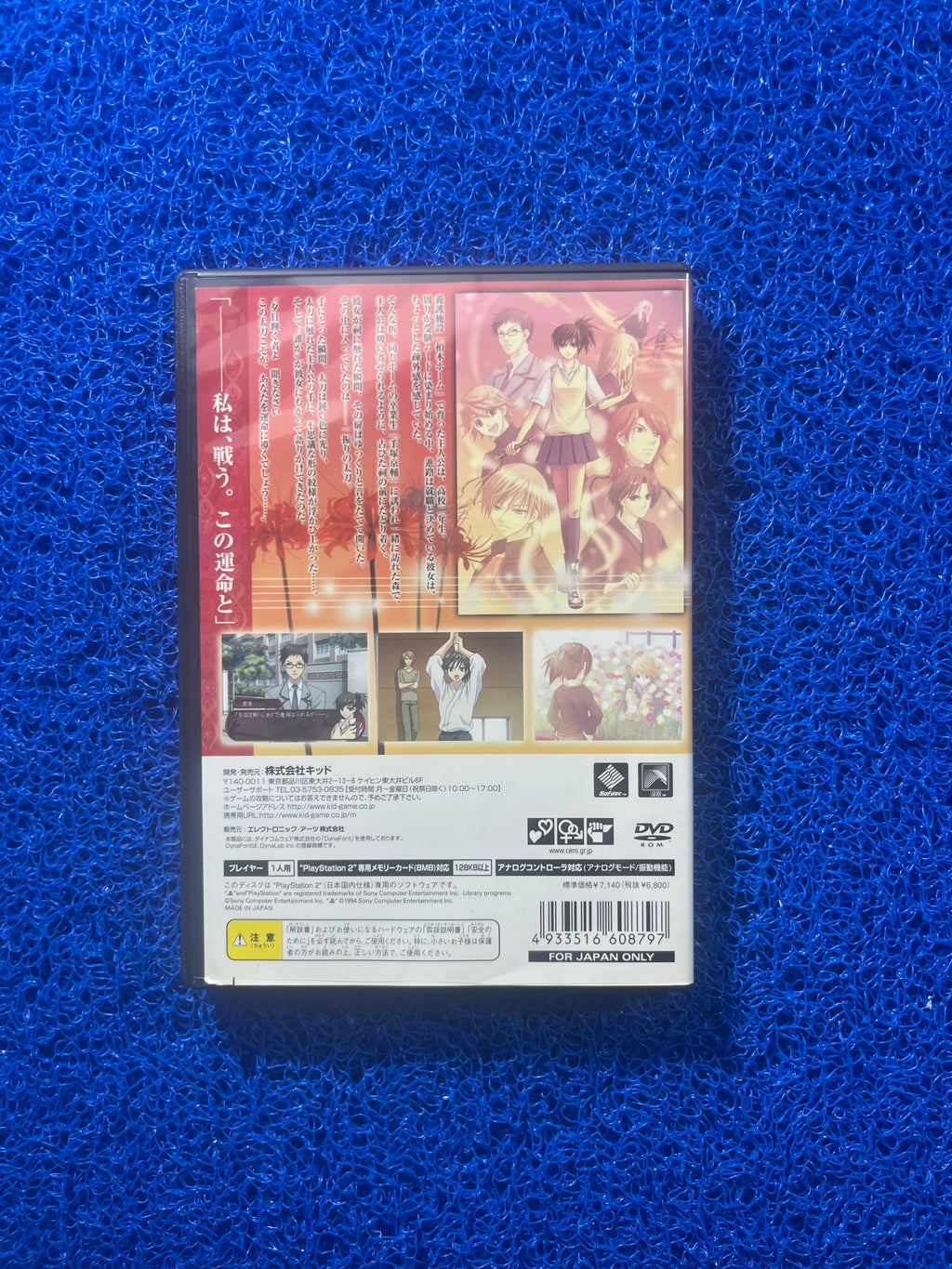 PS2 Mizu no senritsu 2 (J)