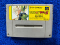 SFC Dragon ball z (J)