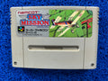 SFC Sky Mission (J)