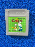 GAMEBOY Dino breeder 2 (J)