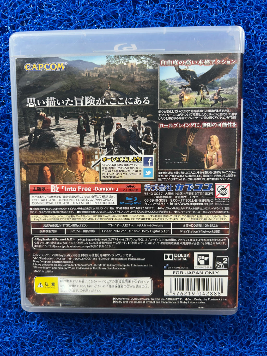 PS3 Dragons dogma