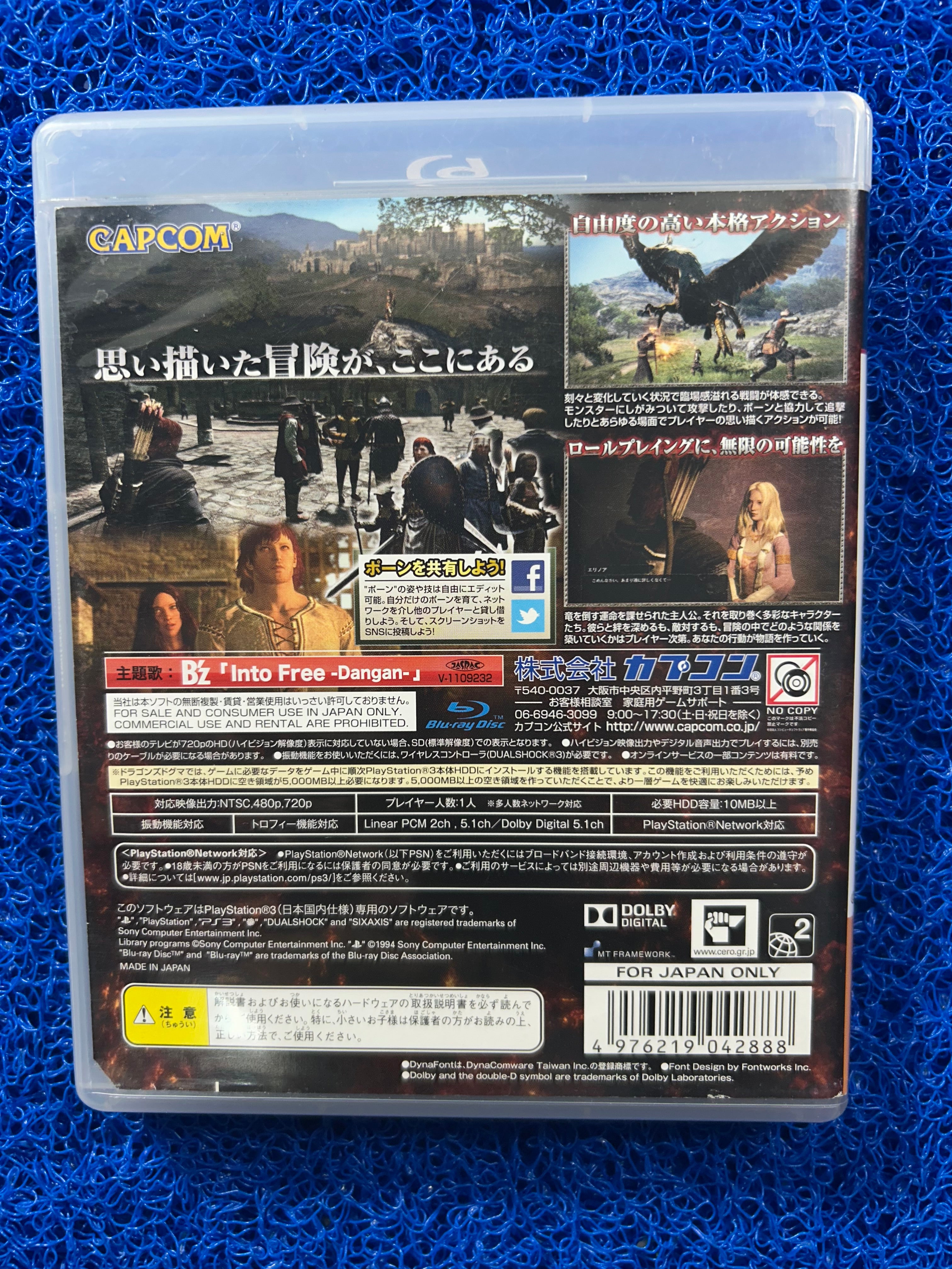 PS3 Dragons dogma