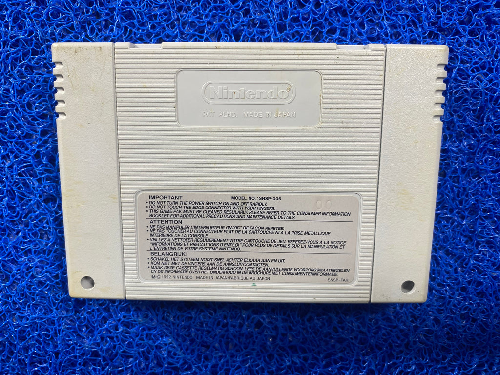 SNES# Pit fighter (E)