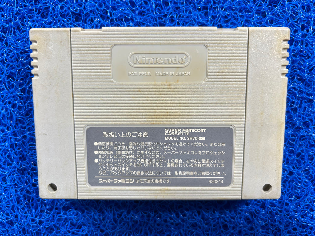 SFC Dragon quest V (J)