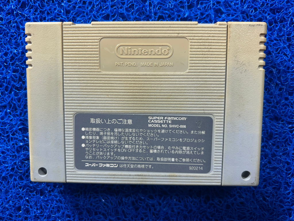SFC Dragon quest V (J)