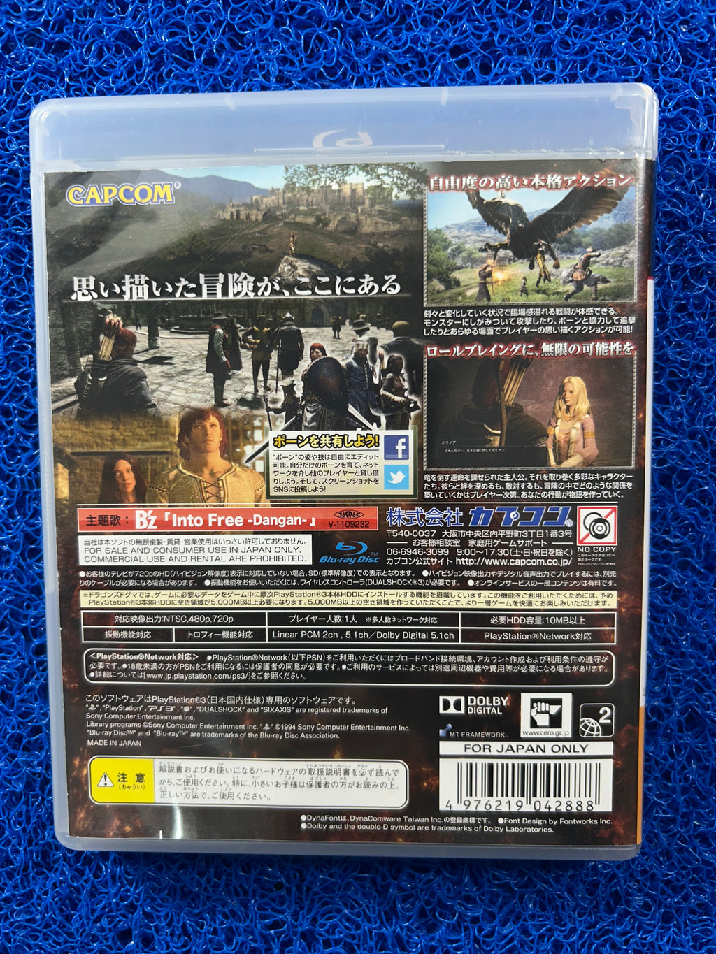 PS3 Dragons dogma