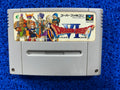 SFC Dragon quest VI (J)