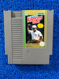 NES Fighting golf (J)