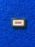GBA Derby Stallion (J)
