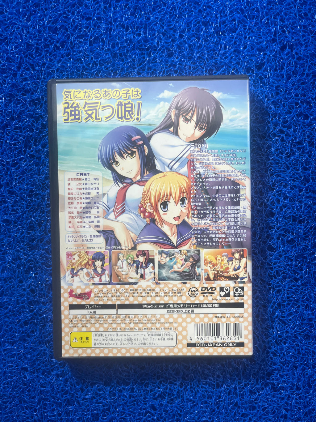 PS2 Mighty Heart (J)