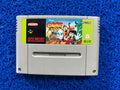 SNES Goof troop (E)
